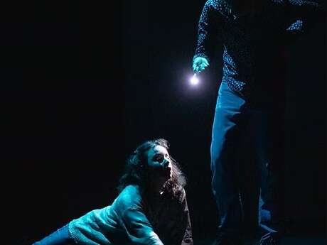 Saison culturelle - Dominique toute seule