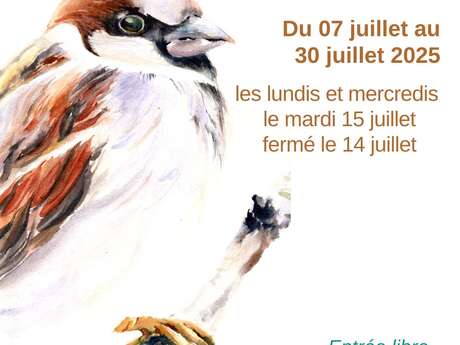 Exposition d’aquarelles « Rêves de Nature »