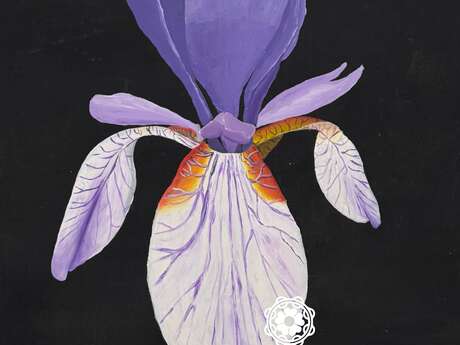 Expositions Les Lescunales - de grange en grange