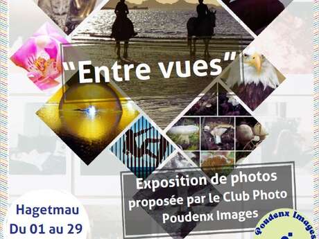 Exposition de photos "Entre vues"