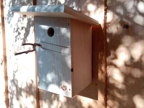 Faîtes pour ailes