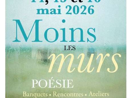 Festival Moins les Murs