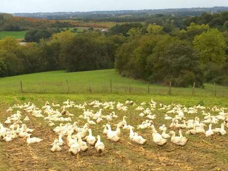 Ferme des Eschourdes