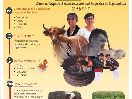 Ferrade à la Ganaderia de Maynus