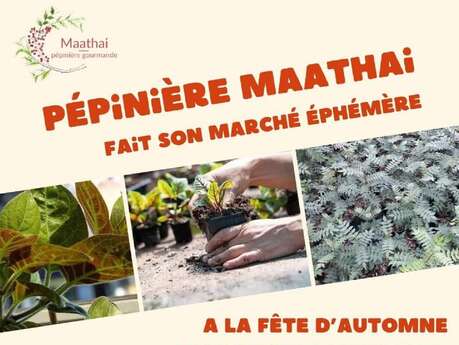 Fête d'Automne au Chaudron