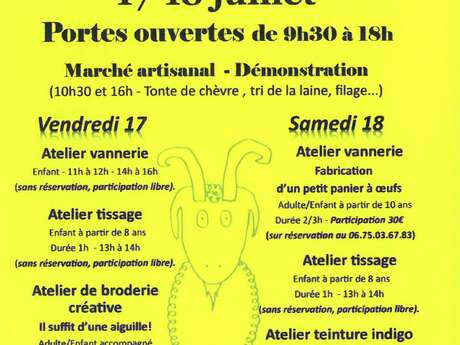 Fête de la laine