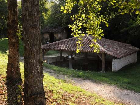 Fontaine et lavoir Saint-Vincent