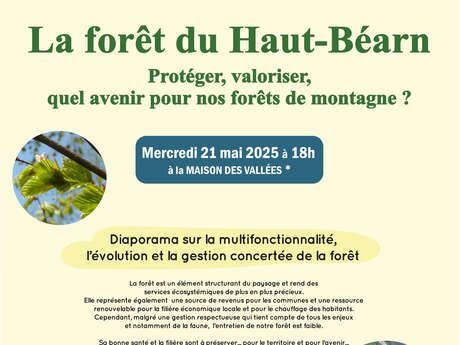 La forêt du Haut-Béarn