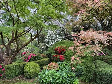 Un jardin entre deux écglises