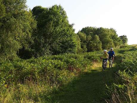 VTT N°73 - Bois de Haut