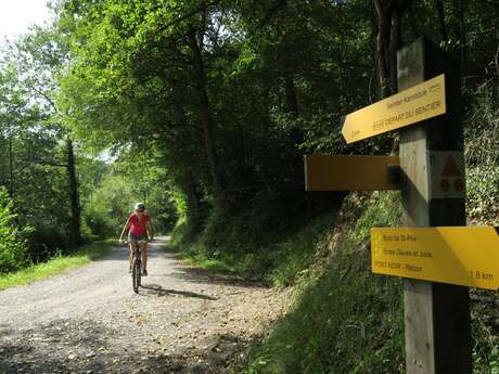 VTT N° 69 Tour de Saint-Pée