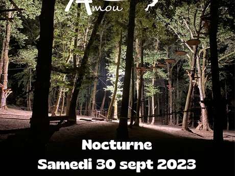 Nocturne à l'Accrobranche Amou