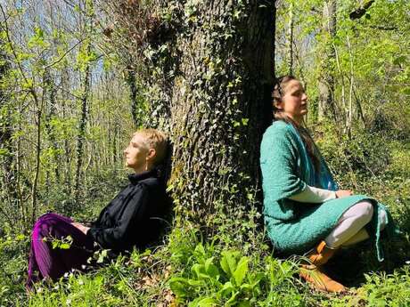 Bain de forêt Bain de forêt