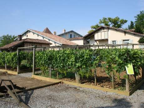 Journées européennes du patrimoine au Musée de la Chalosse