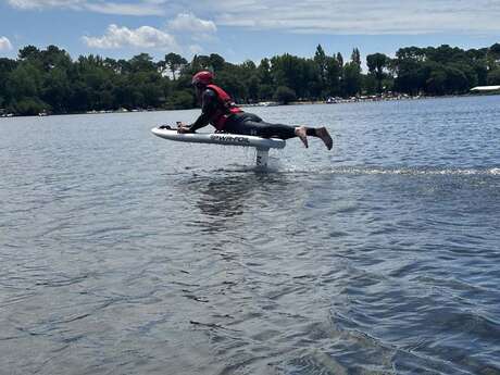FOIL IN LANDES