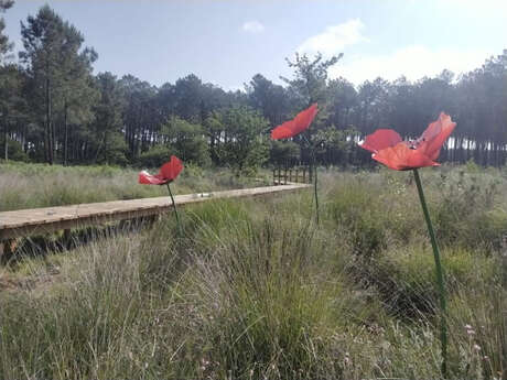 Jardin de la Côte d'Argent