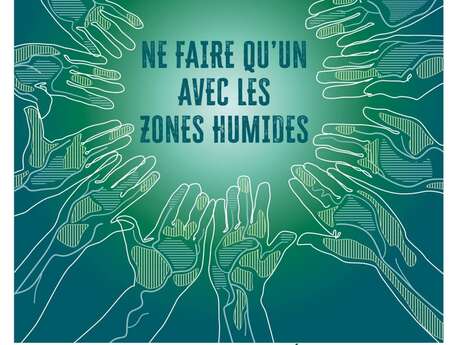 Sortie "Dans la peau d'un ornitho"