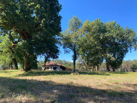 A Linxe, circuit du Moulin de Binaou