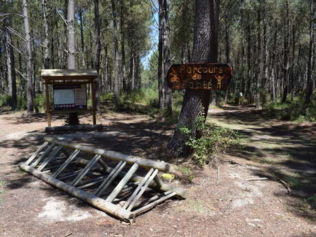 Parcours de santé en forêt