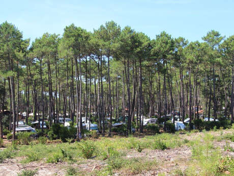 Aire de camping-cars du Cap de l'Homy