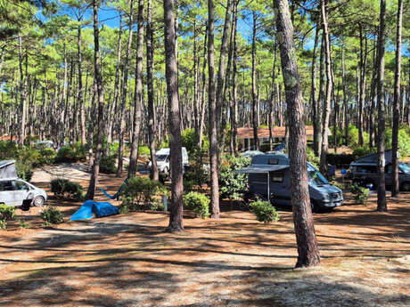 Camping Municipal du Cap de l'Homy