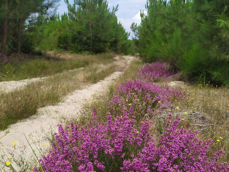 A Lit et Mixe, circuit du Cap de l'Homy