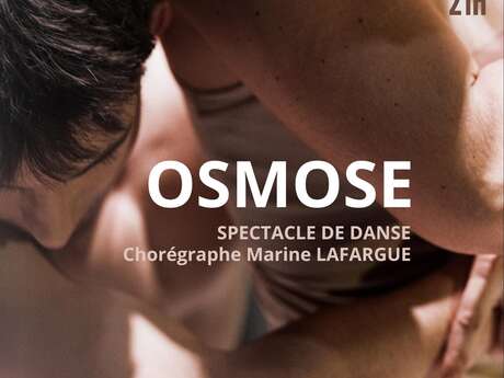 Spectacle de la Moove Dance Company