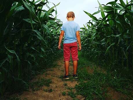 Le labyrinthe de Chalosse