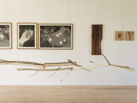 Exposition : Retour aux sources