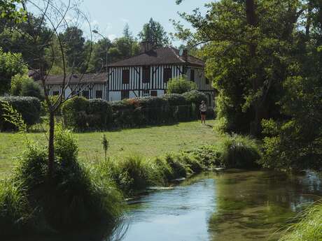 L'eau vibrante