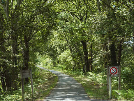 Piste cyclable du Cap de l'Homy / Piste Cyclable du Vignac