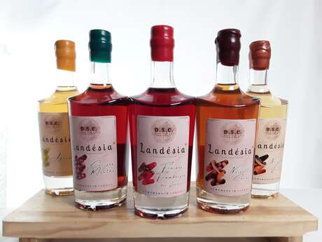 Micro Distillerie Saint-Cricquoise