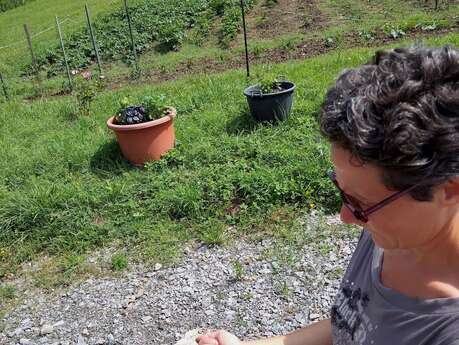 Taller de propagación de plantas
