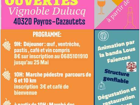 Portes ouvertes - Vignoble Dulucq