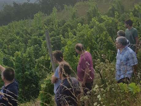Veillée Vigneron Veillée Vigneron