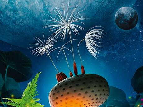 Ciné atelier : expérimentation scientifique