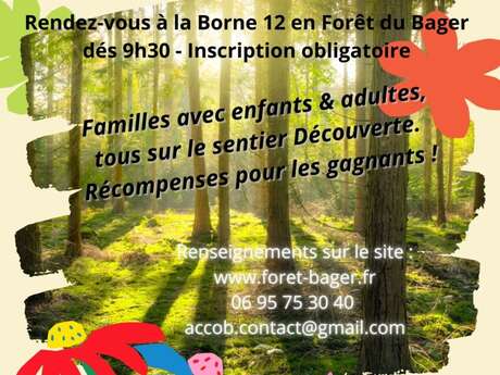 Promenons-nous dans les bois