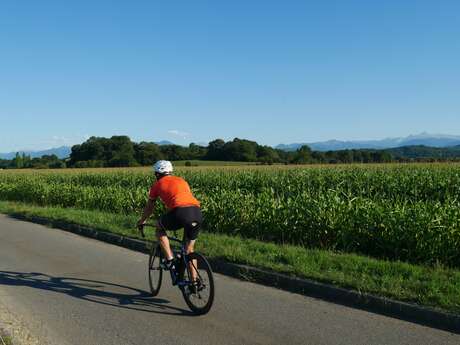 Route N°18 - La route des palombes