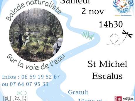 Balade naturaliste "Sur la voie de l'eau"