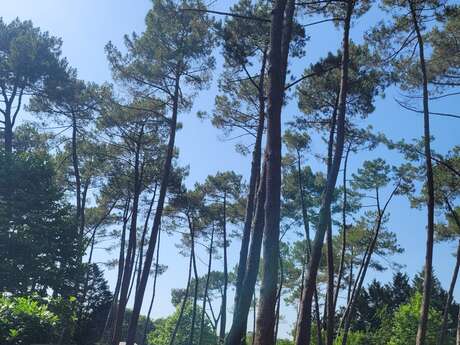 Camping Le Pont Noir