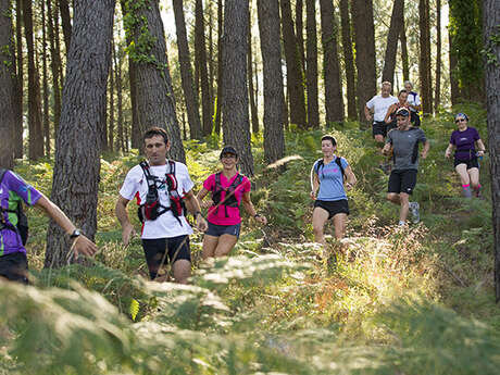 Trail du Marensin