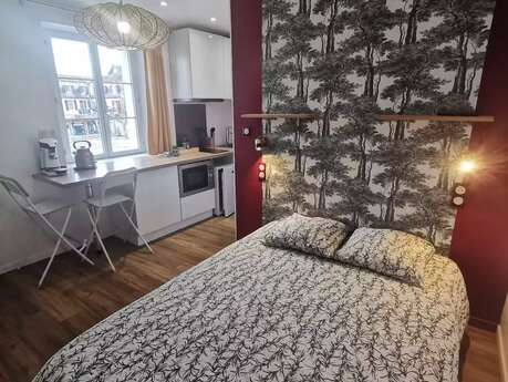 Les appartements du centre : le Sureau