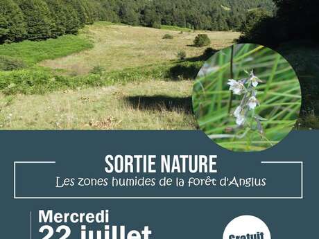 Sortie nature : Les zones humides de la forêt d'Anglus