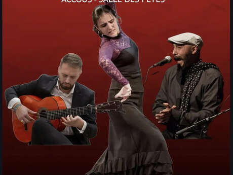 Spectacle flamenco - canta la sombra !