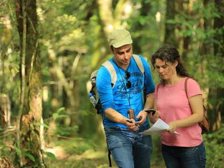Terra Aventura : La Fabuleuse forêt des Landes