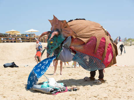 Le Triselectops aime sa plage