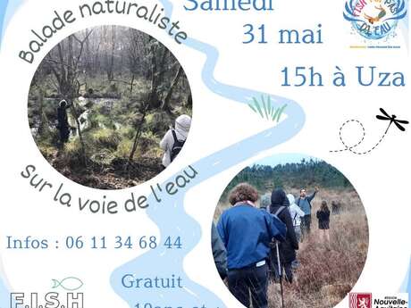 Balade naturaliste "Sur la voie de l'eau"