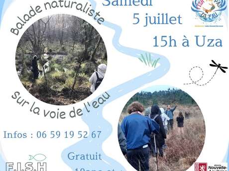 Balade naturaliste "Sur la voie de l'eau"