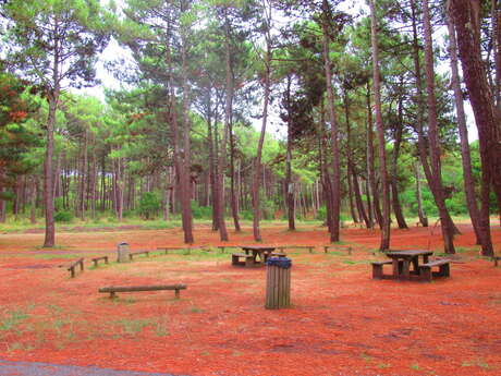 Aire de pique-nique de St-Girons Plage