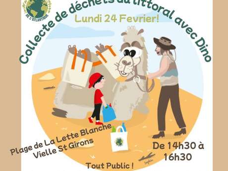 Collecte de déchets du littoral avec Dino